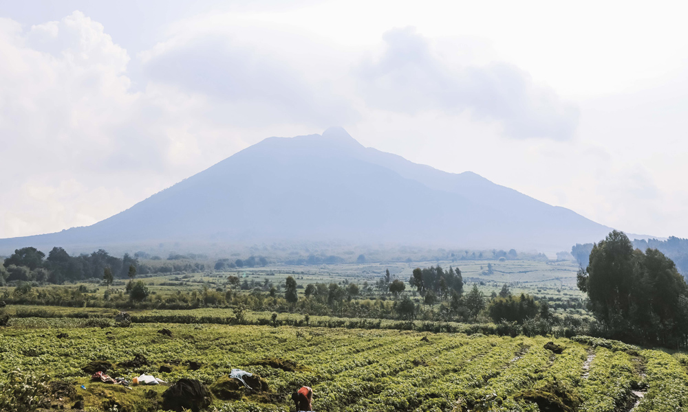 Volcano Mountain Climbing expedition in Rwanda